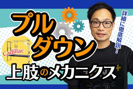 バナー